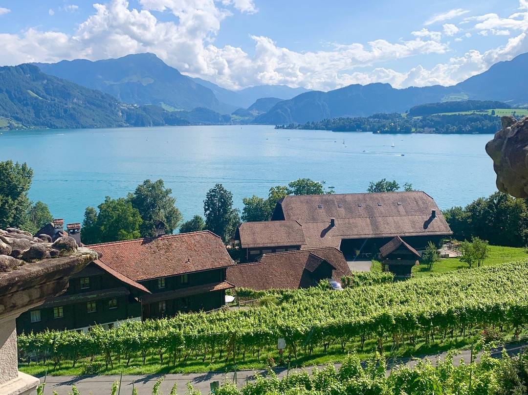 Schloss Meggenhorn-麦根必去景点