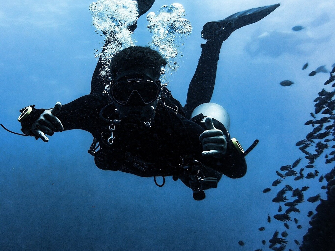 Big Blue Tech-涛岛必去景点