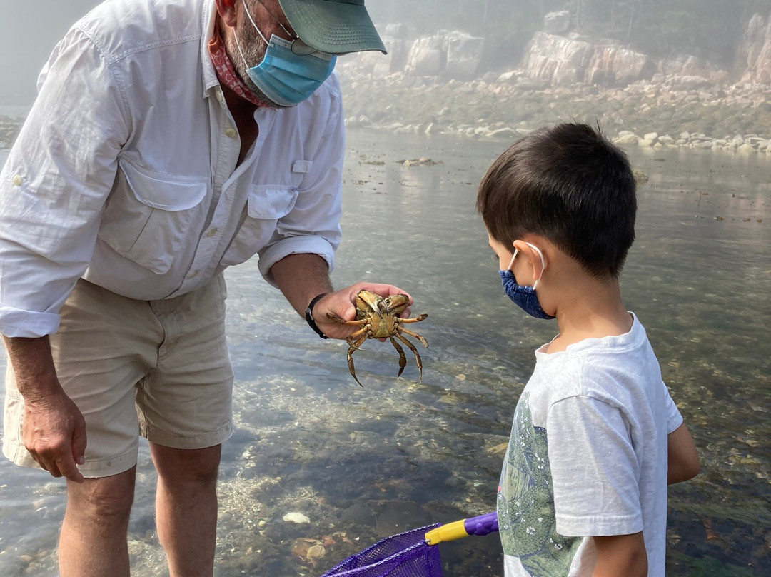 The Natural History Center景点图片