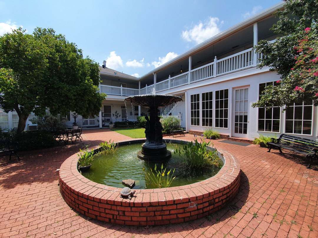 The Excelsior House主图