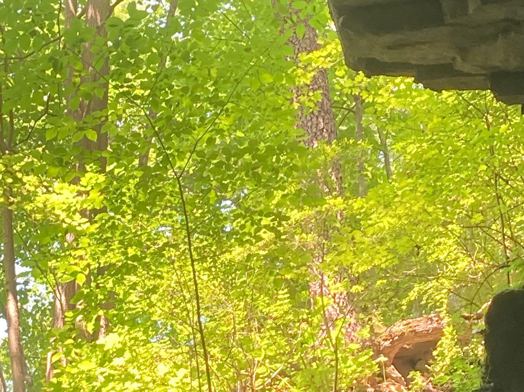 Penn's Cave & Wildlife Park景点图片