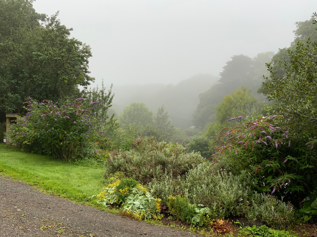 Monk Haven Manor B&b主图