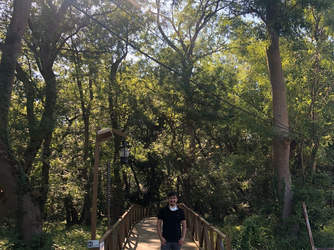 Cakirlar Korusu-Cakirlar Yali必去景点