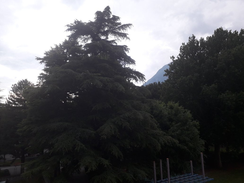 Pont Suaz旅游攻略图片