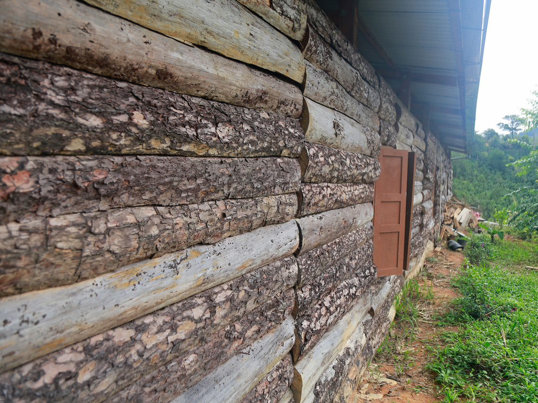 Chappi Mountains Homestay Bungalows & Coffee Resting Station主图