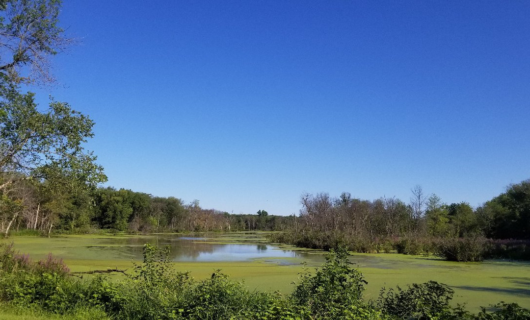 Thomson Causeway Recreation Area-Thomson必去景点