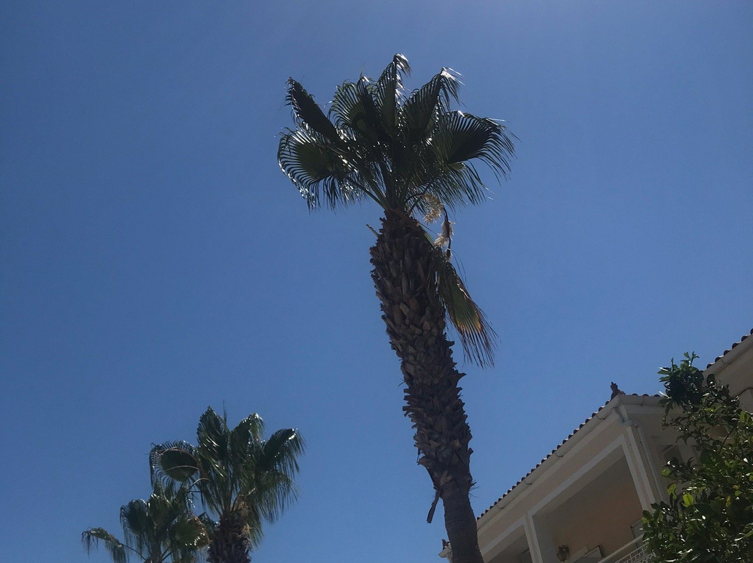 雪绒花公寓主图