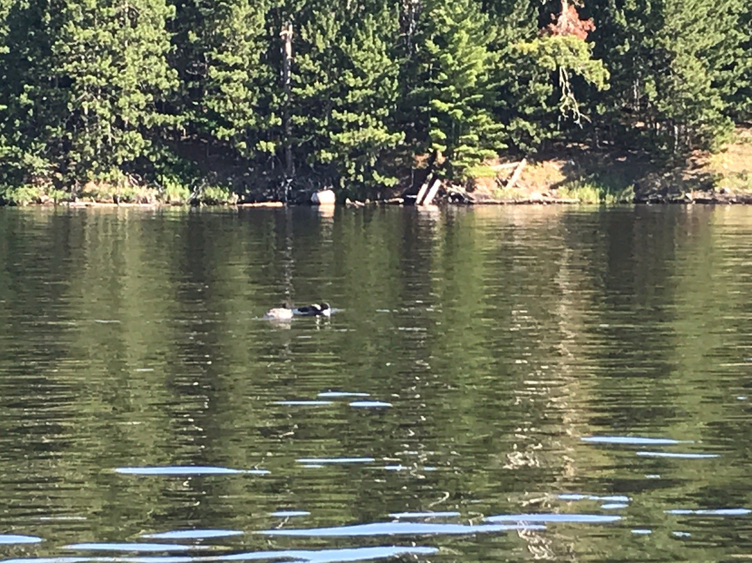 Kabetogama Peninsula景点图片