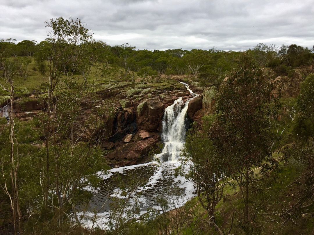 Nigretta Falls-哈密尔顿必去景点