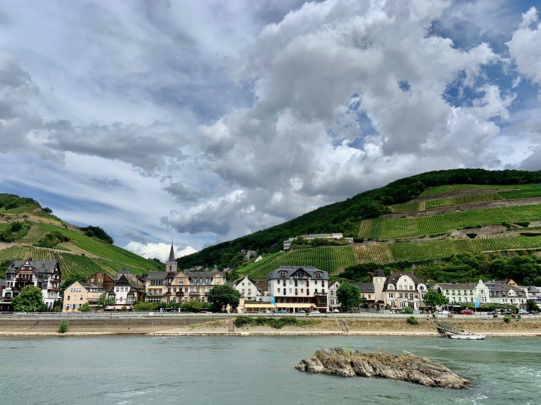 Roessler Linie-吕德斯海姆必去景点