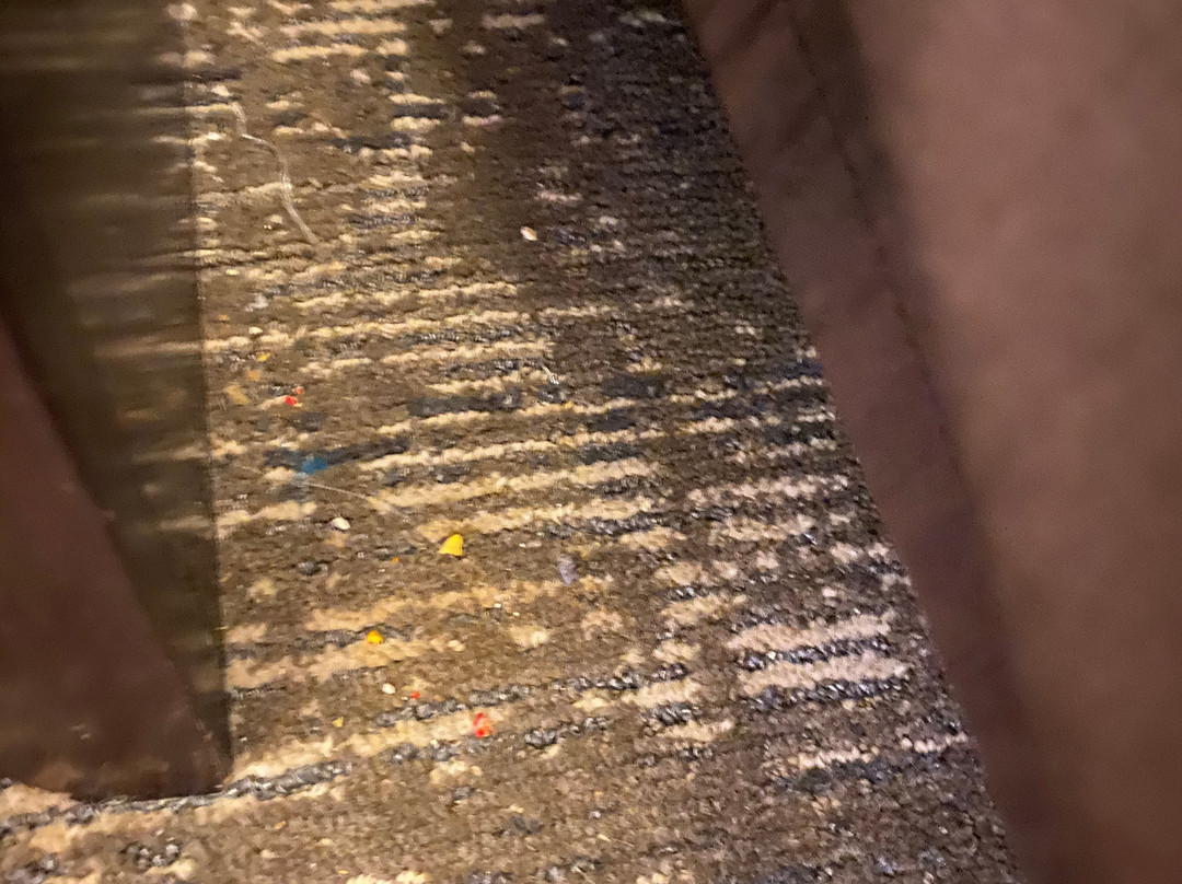 Comfort Suites Near Hot Springs Park主图