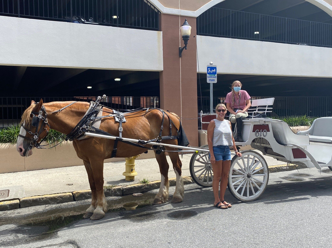Carriage Tours of Savannah景点图片