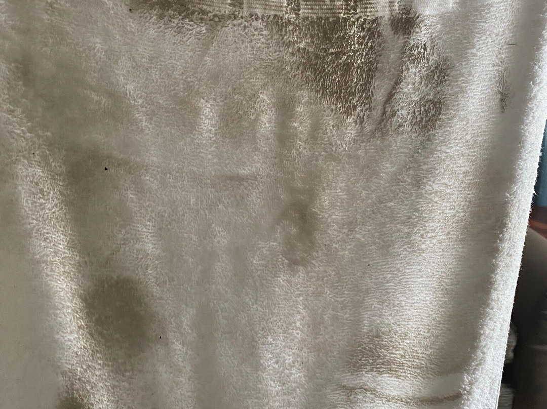 Best Western Inn主图