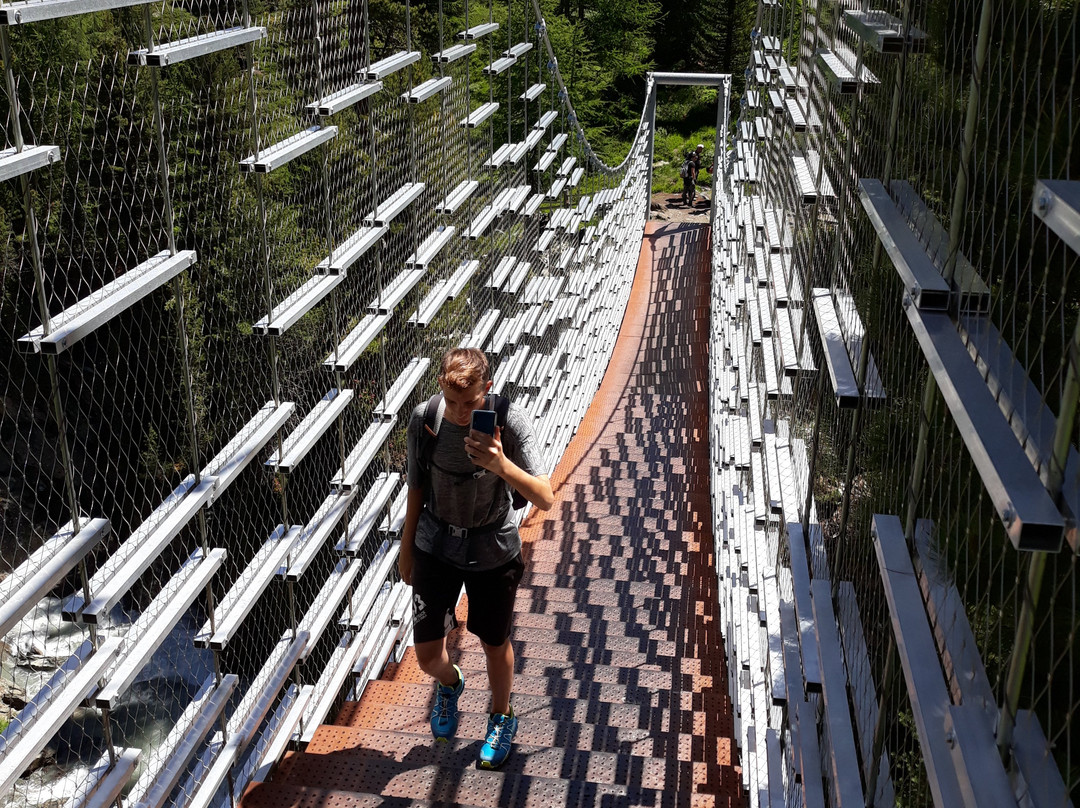 Gola del Rio Plima-Martello必去景点