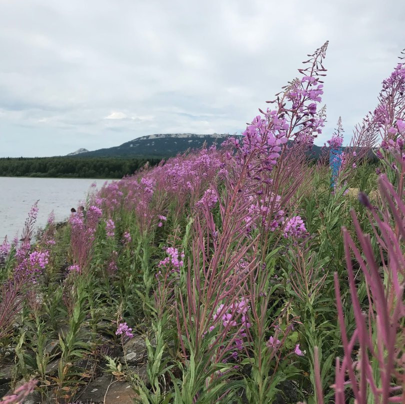 Lake Zyuratkul景点图片