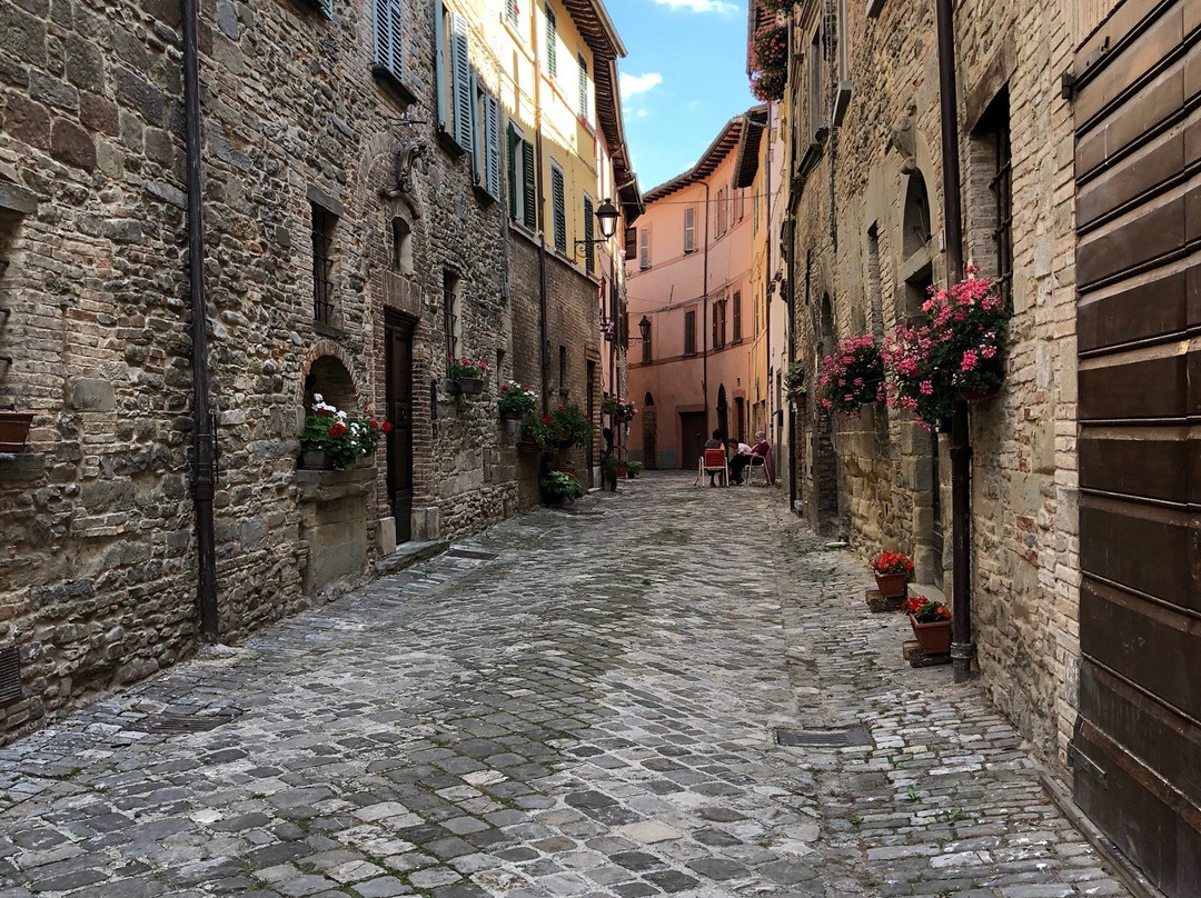 Chiesa e Museo di San Francesco景点图片