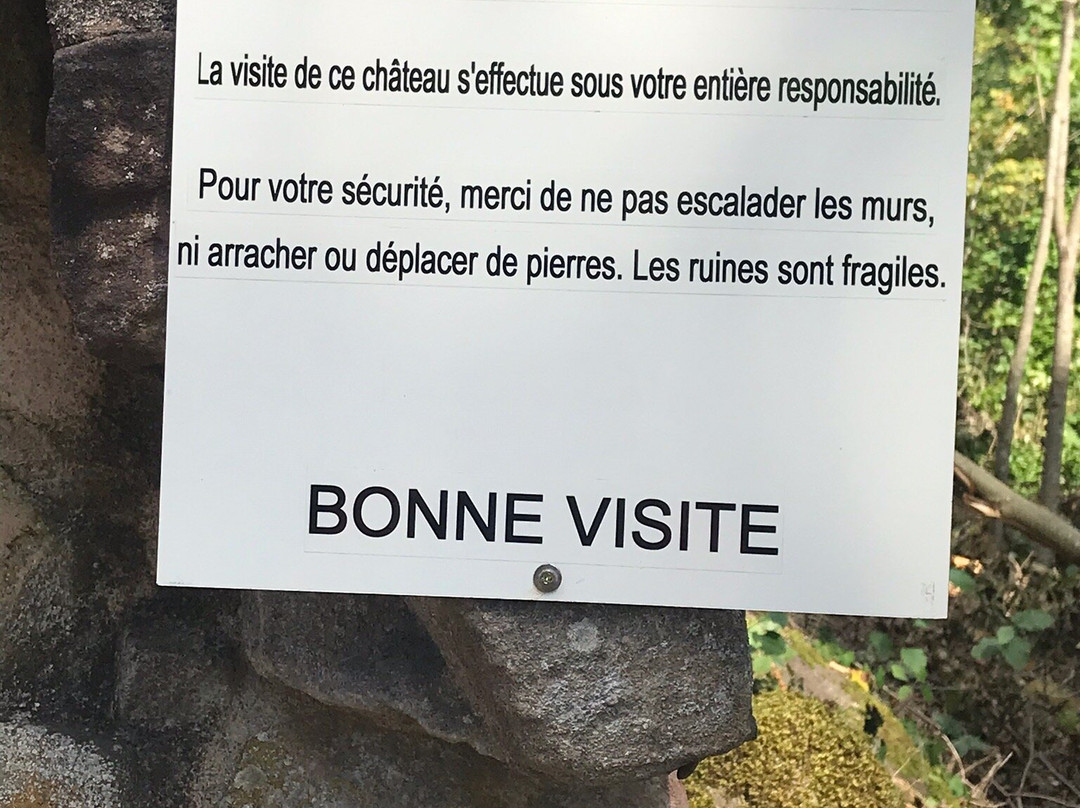 Chateau de Landsberg景点图片