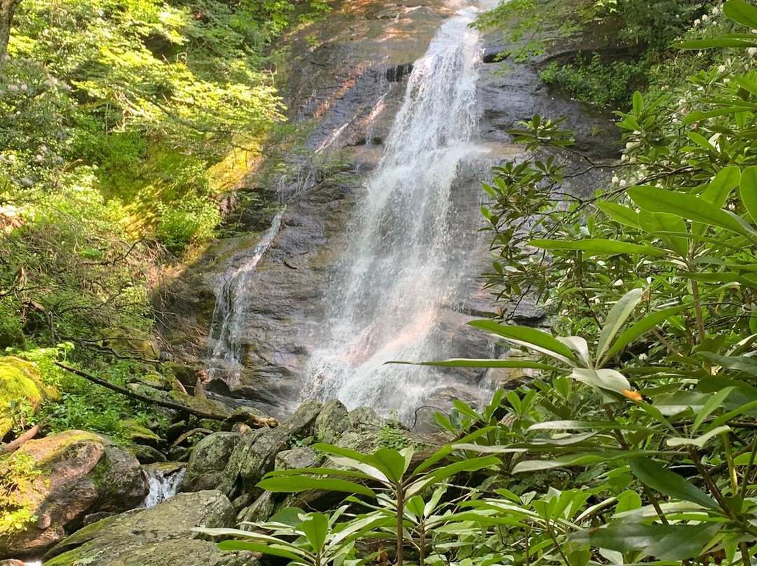Miller's Land of Waterfall Tours景点图片