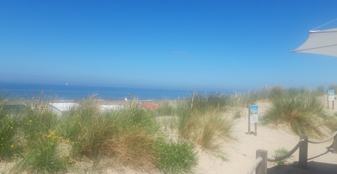 Twins Club-布雷德内必去景点