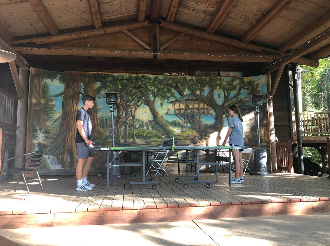 Out 'n' About Treehouse Treesort主图