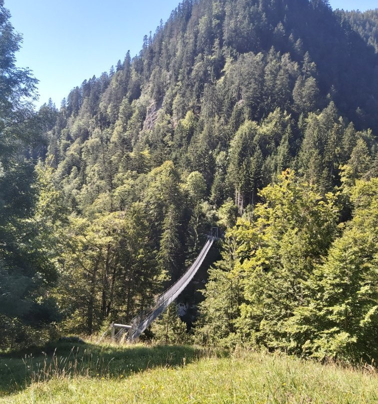 Hängebrücke Leiternweide景点图片