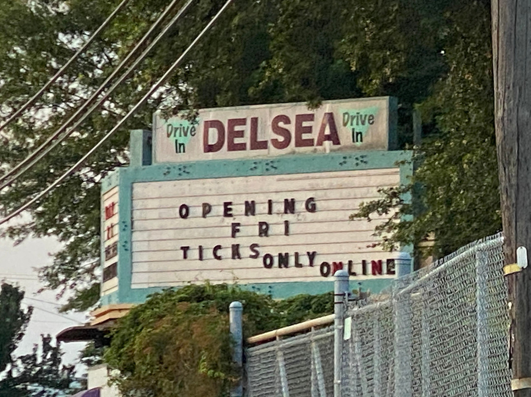 Delsea Drive-In Theatre景点图片