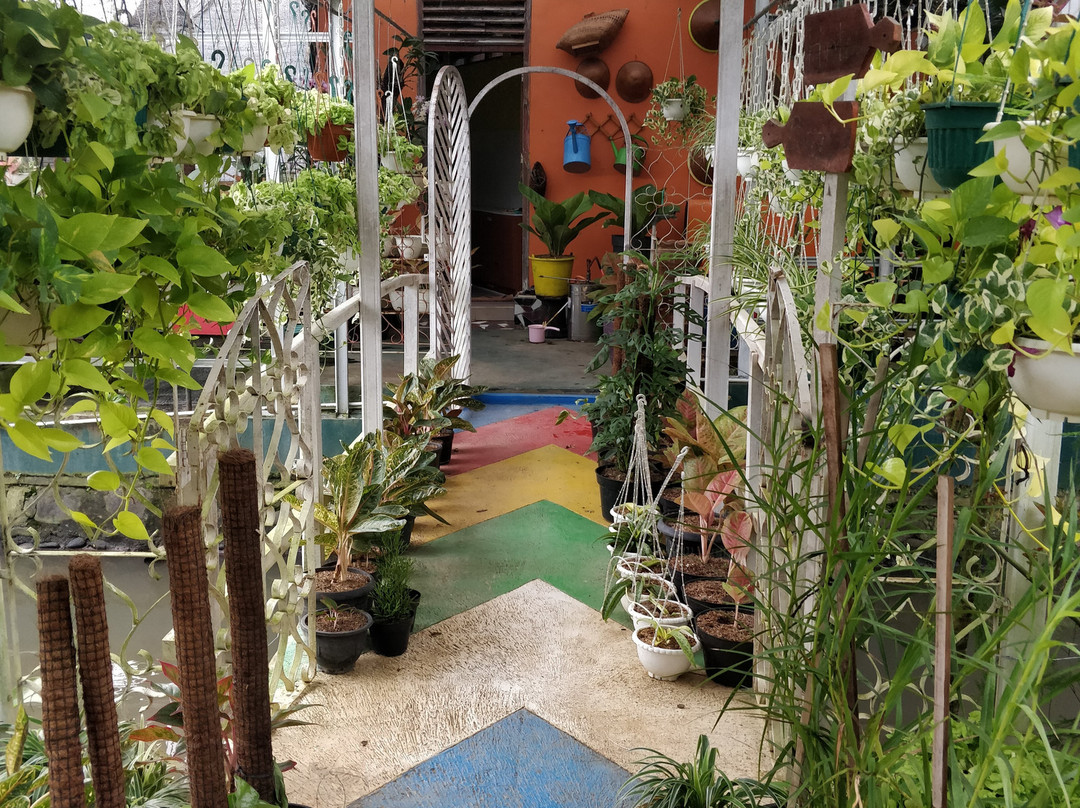 Hotel Purbalingga Bagoes 306主图