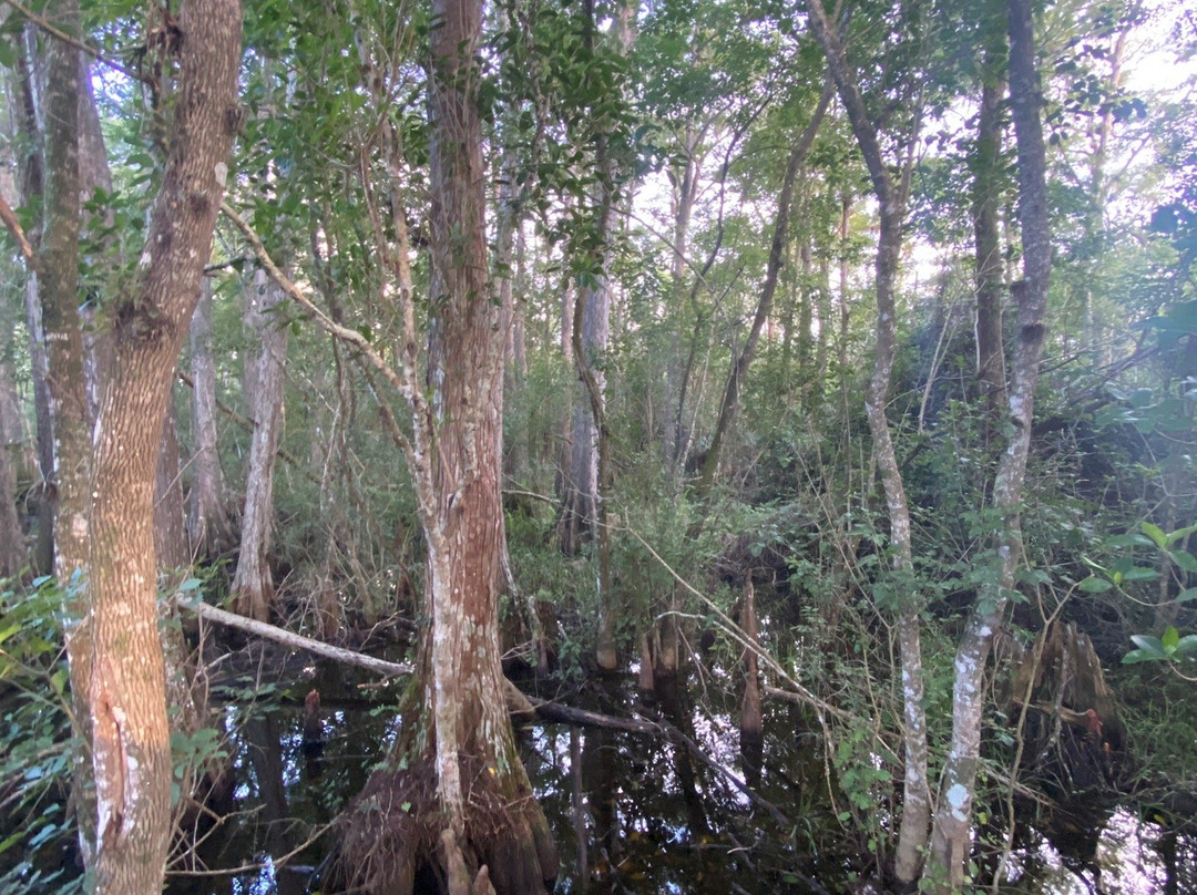 Kirby Storter Roadside Park-奥乔皮必去景点