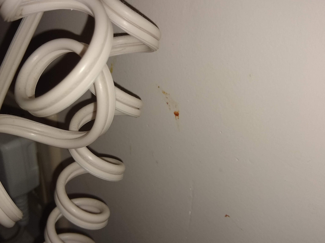 HOM Hotel Gainesville, SureStay Collection by Best Western主图