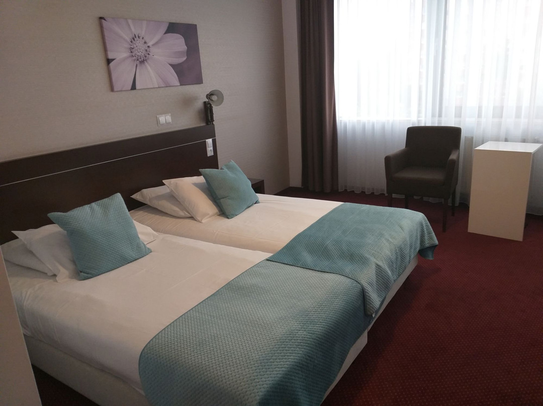 Vestil Hotel Piotrków Trybunalski主图