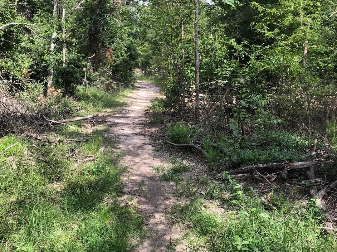 Bellamy Bridge Heritage Trail-Marianna必去景点