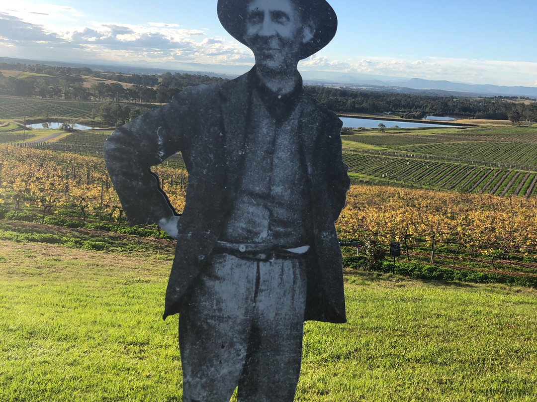 Hunter Valley Boutique Wine Tours景点图片