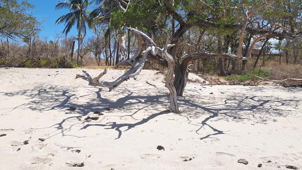 Hotel Georgi CR主图