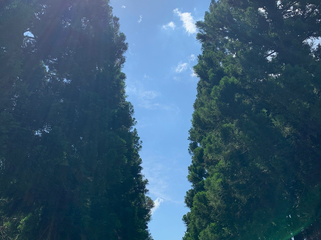 Bihoku Hillside Park-庄原市必去景点