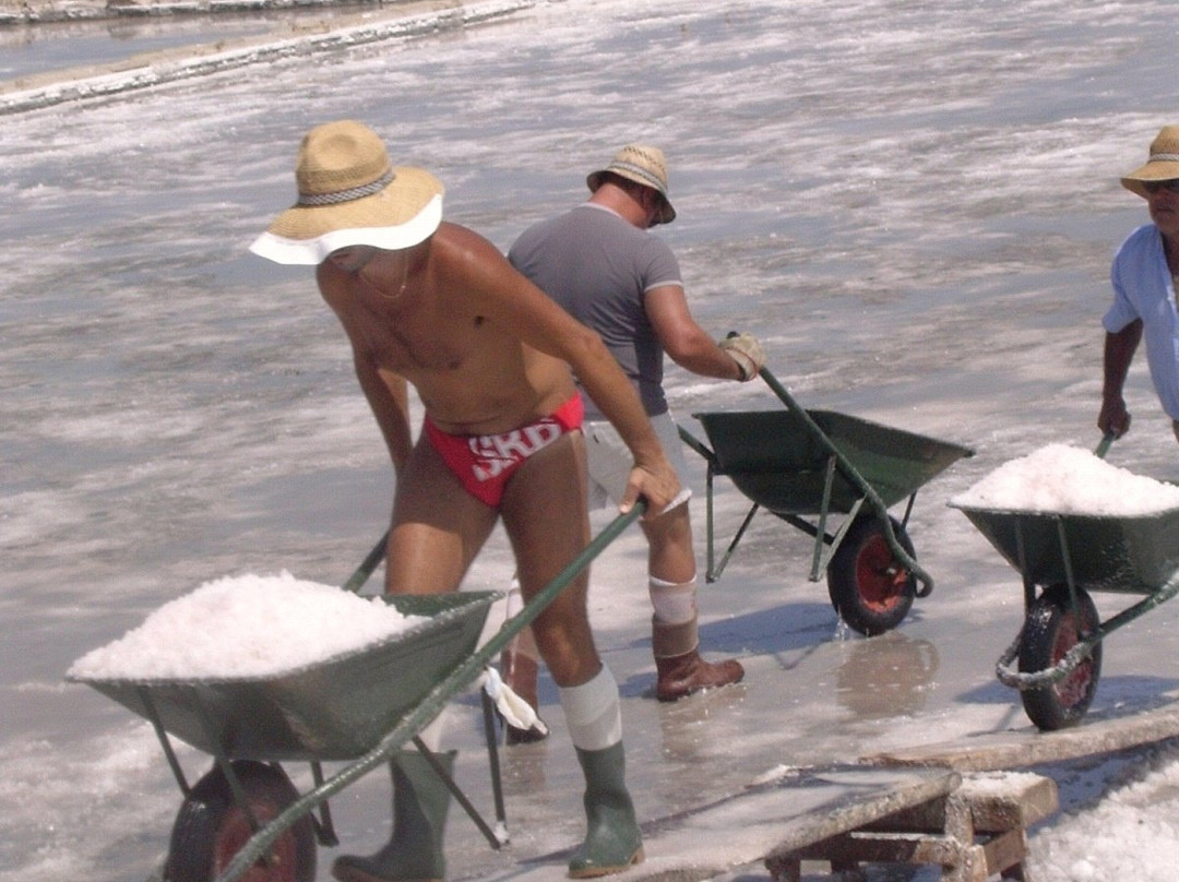 Riserva Naturale Saline Di Trapani E Paceco-特拉帕尼省必去景点