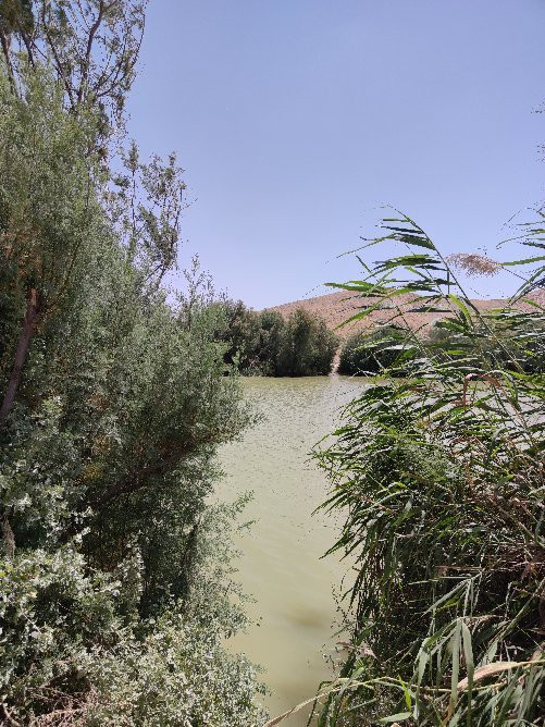Yeruham Park and Lake-Yeruham必去景点