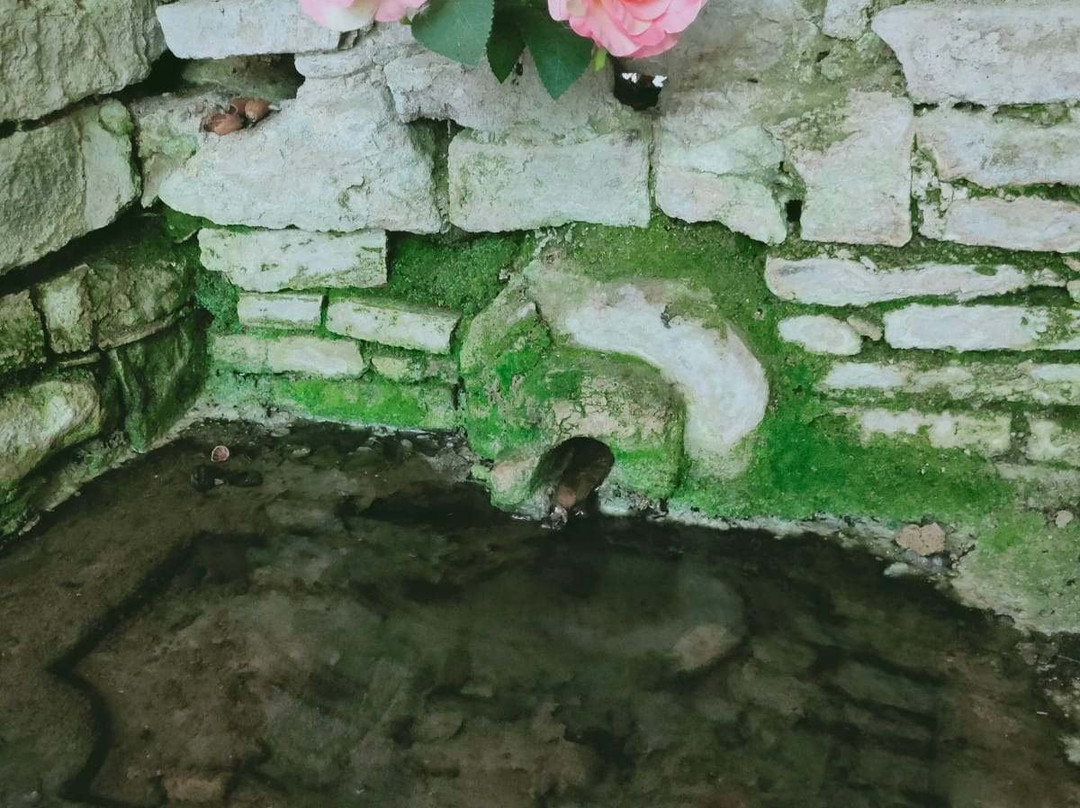 Riserva Naturale Regionale Monti Rognosi景点图片