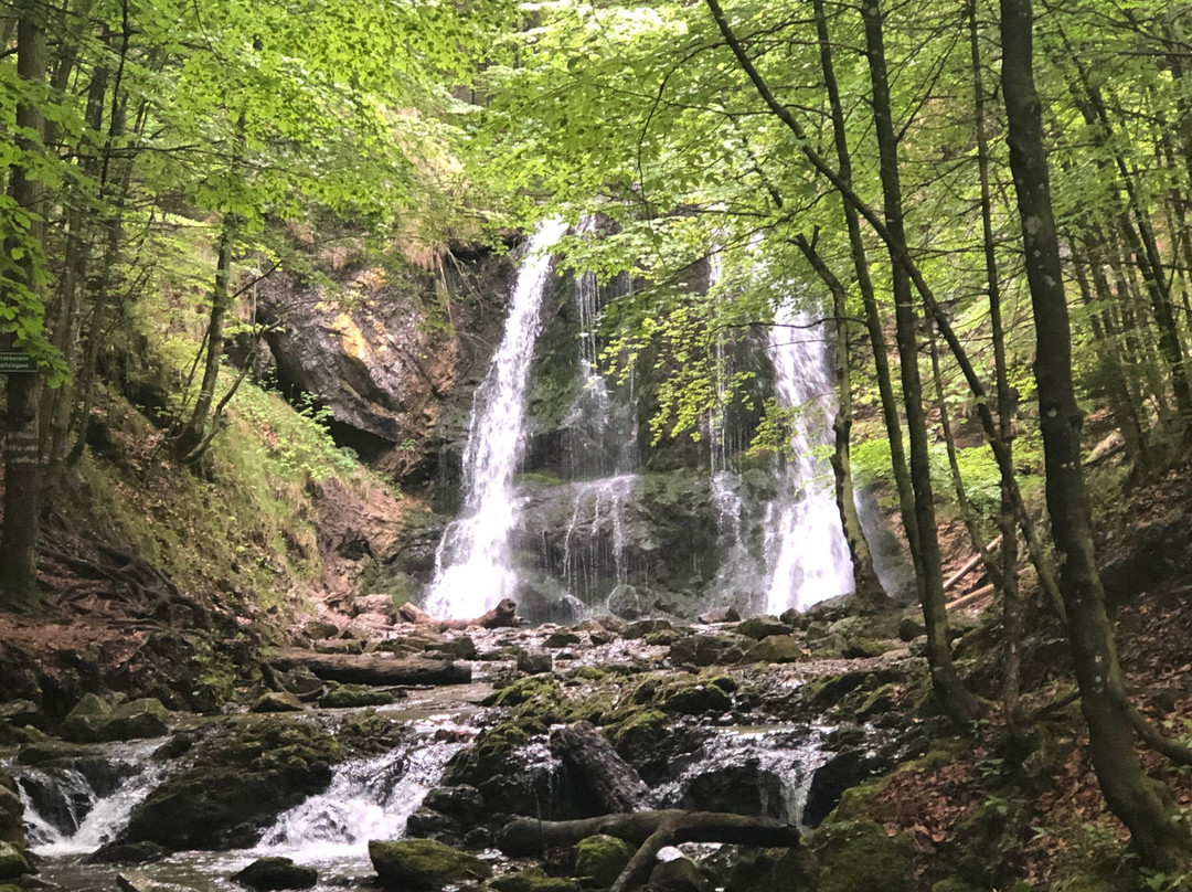 Josefsthaler Wasserfall景点图片