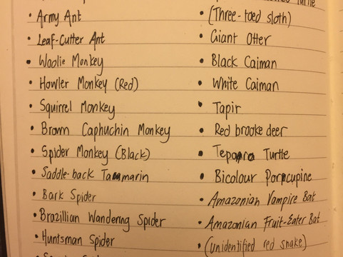 Amazon Wildlife Peru-库斯科必去景点