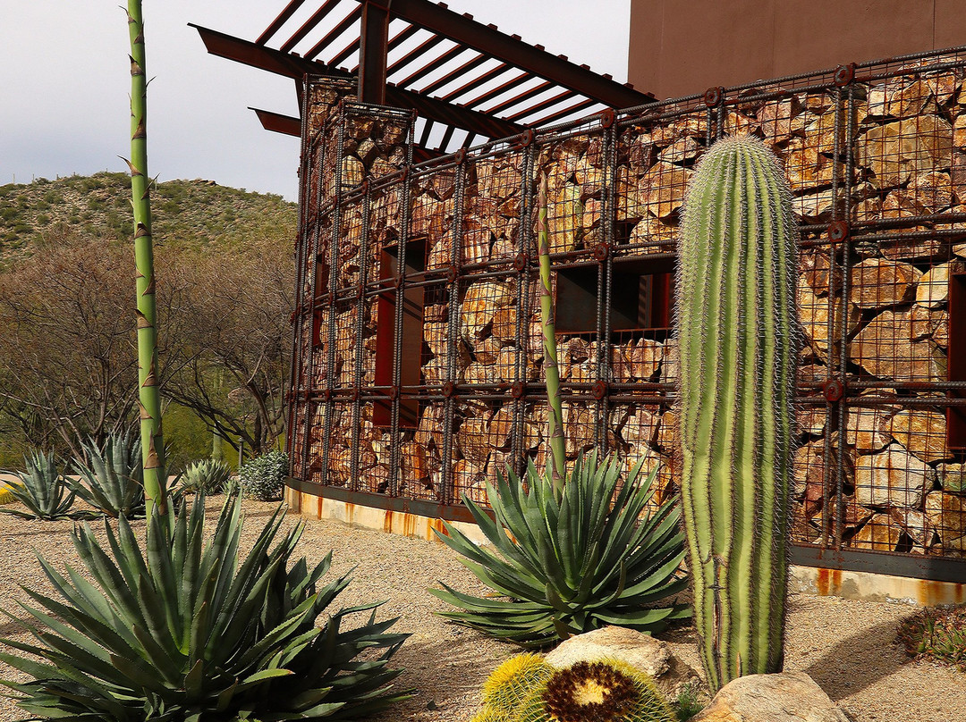 The Ritz-Carlton Dove Mountain Spa-马拉纳必去景点