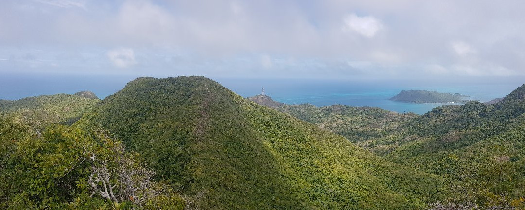 The Peak Forestry Reserve景点图片