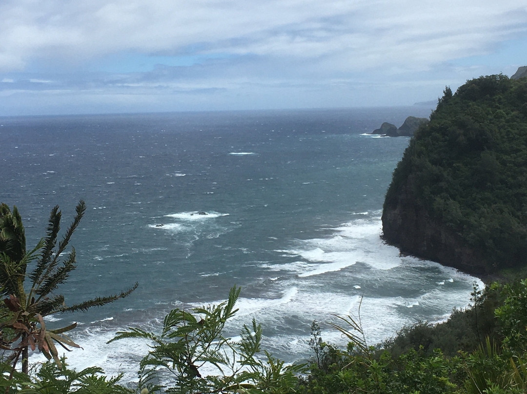 Pololu Trail景点图片