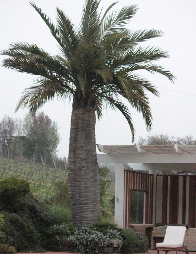 Matetic Vineyards-Lagunillas必去景点