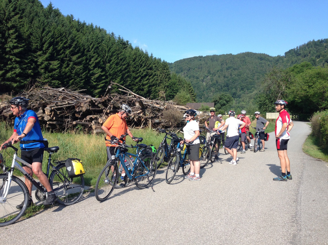 Mercurio Bike Travel-Zwickau必去景点
