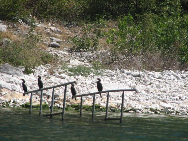 Prespa Trails景点图片