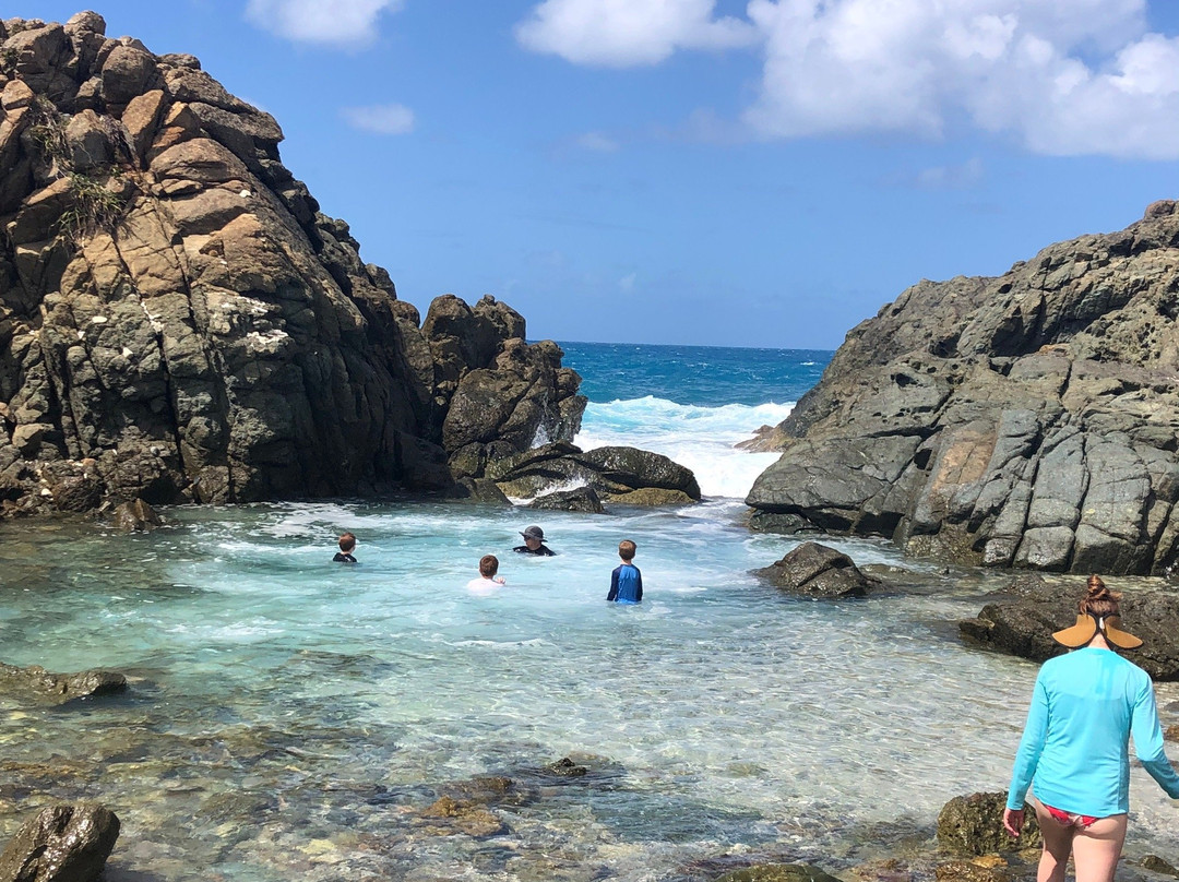 The Bubbly Pool-Jost Van Dyke必去景点