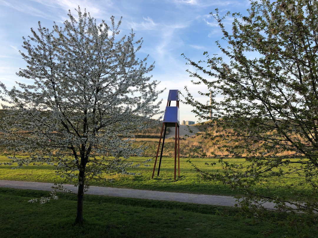 Bergehalde Großes Holz景点图片