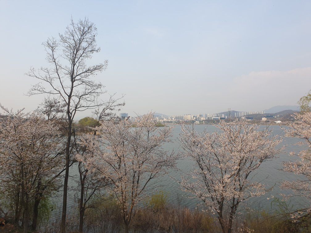 Uiwang Nature Learning Park-义王市必去景点