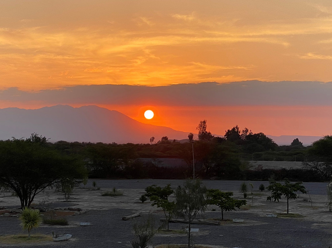 Casa Hacienda Nasca Oasis主图