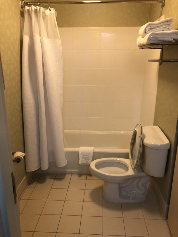 SpringHill Suites by Marriott Greensboro主图